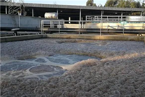 高COD废水处理方案