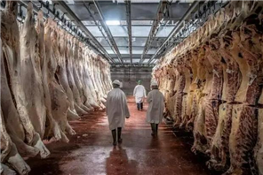 屠宰场污水处理方案