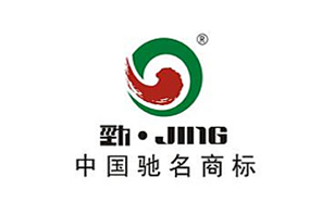 某某企业采用瑞英的纯水设备工程