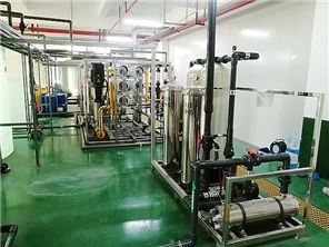 5吨/时二级反渗透去离子水设备
