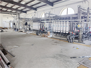 0.5吨/小时去离子水装置