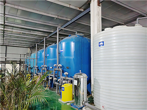 工业反渗透去离子水系统