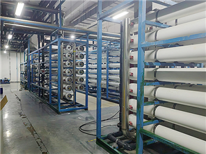 10吨/时工业去离子水系统