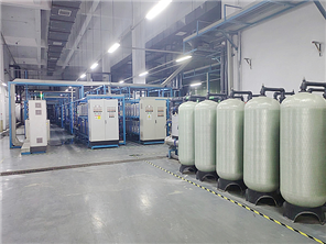 食品饮料行业一体化去离子水设备