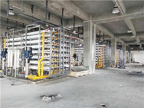 全自动二极反渗透纯水设备