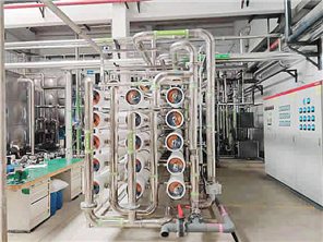 100吨/小时大型反渗透水处理装置