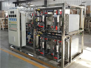 生物试剂EDI高配置纯化水设备